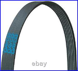Dayco Poly Rib Gold Label 5120980 Serpentine Belt