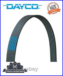 Dayco Serpentine Belt P/N5081305
